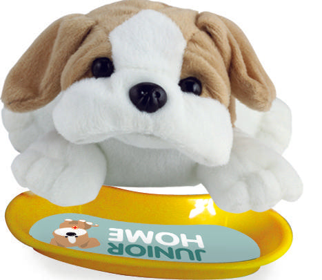 Junior Home - Dyrlægelegesæt