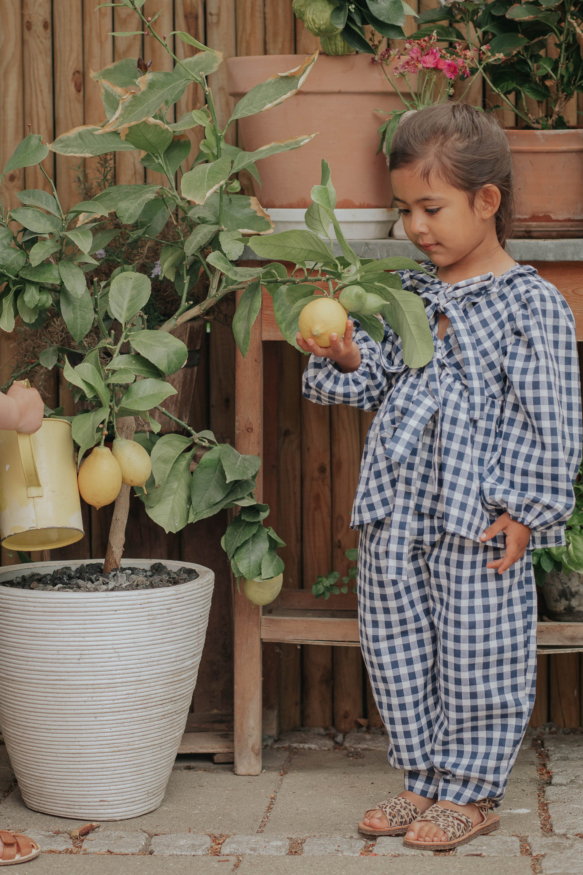 Fliink Zorro LS Blouse - Insignia Sandshell Check