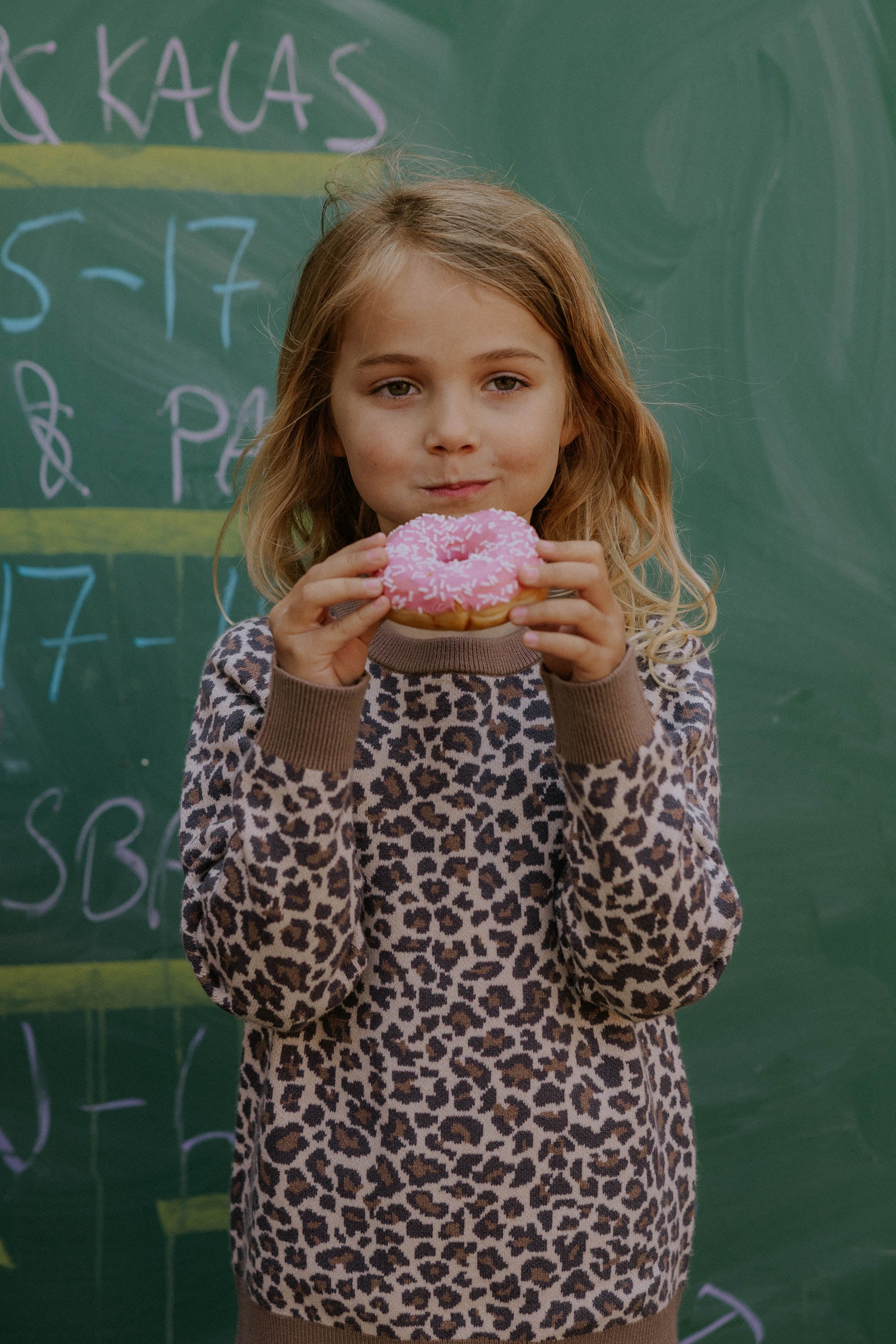 Fliink Benna Leo Pullover - Pine Bark