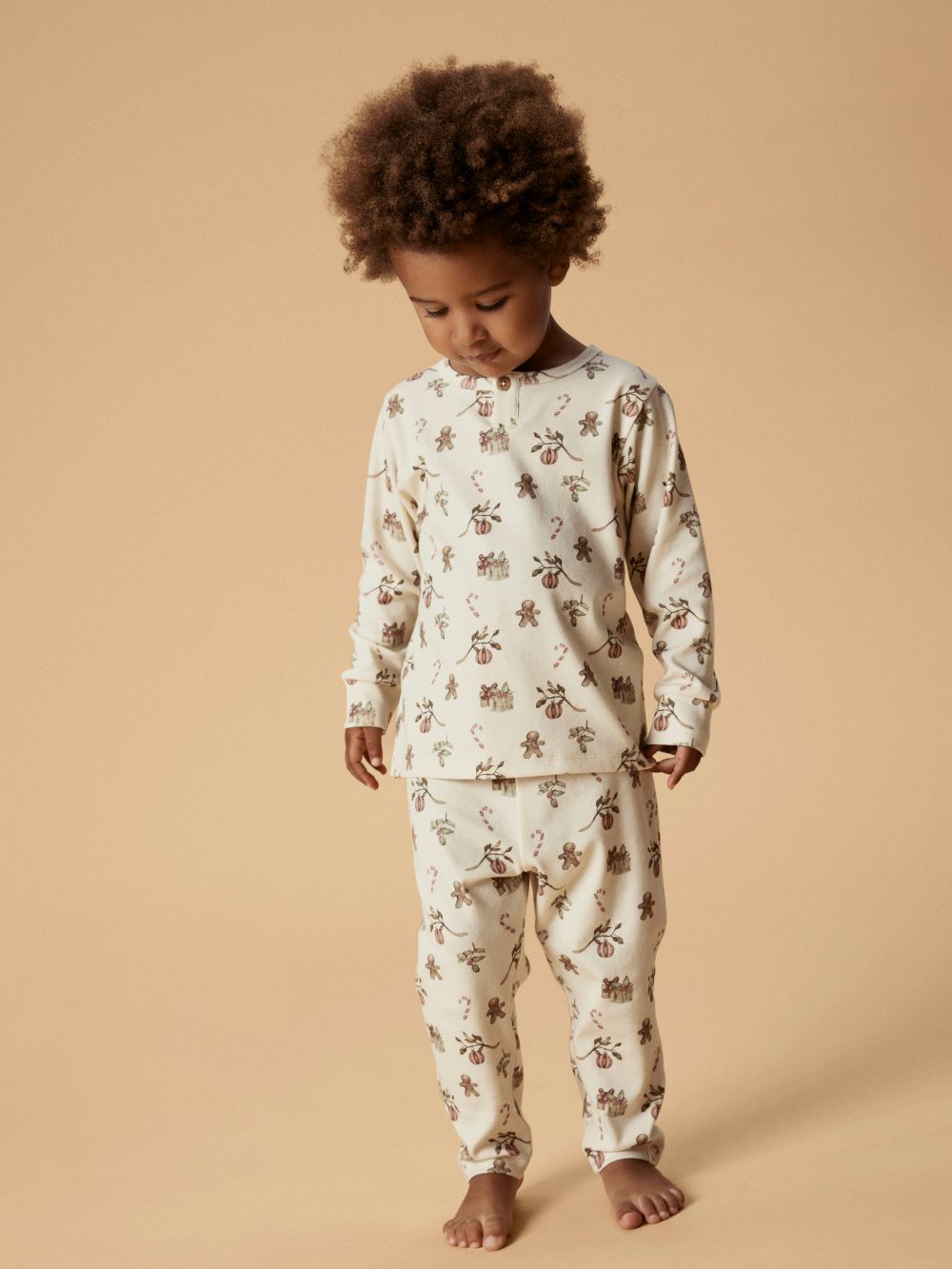 Lil Atelier Layo Git LS Nightset - Turtledove/Christmas