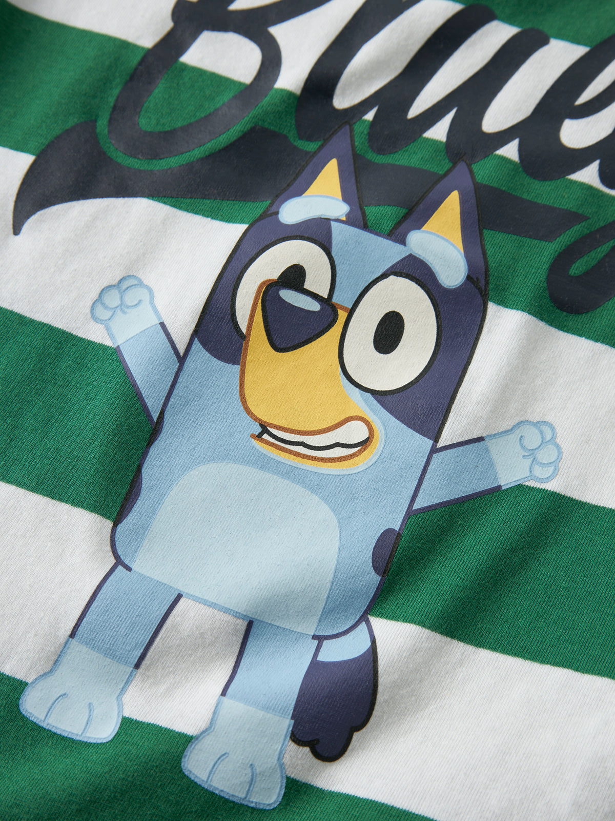 Name It Justin Bluey - LS Top - Green