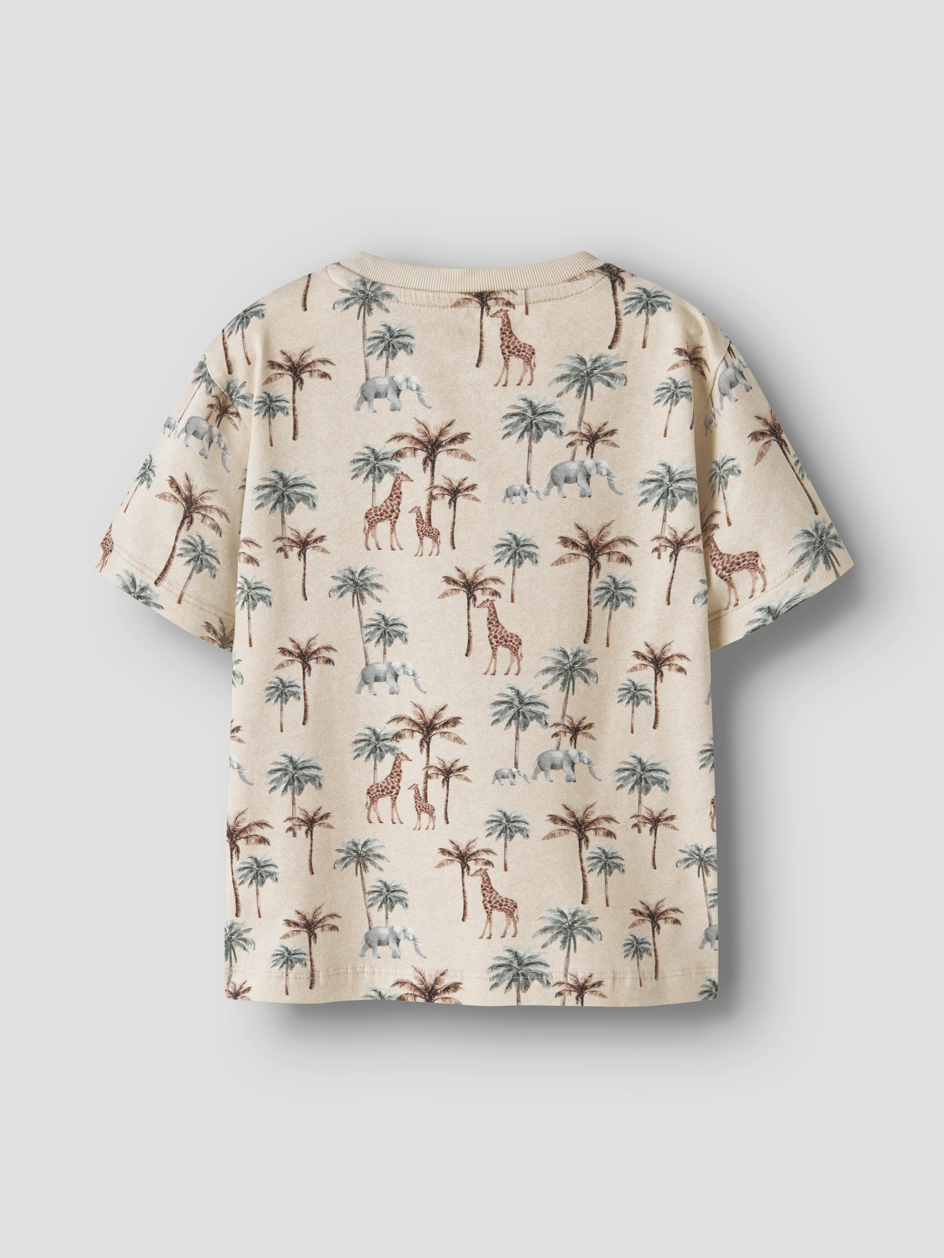 Name It Henry - SS Top - Peyote Melange