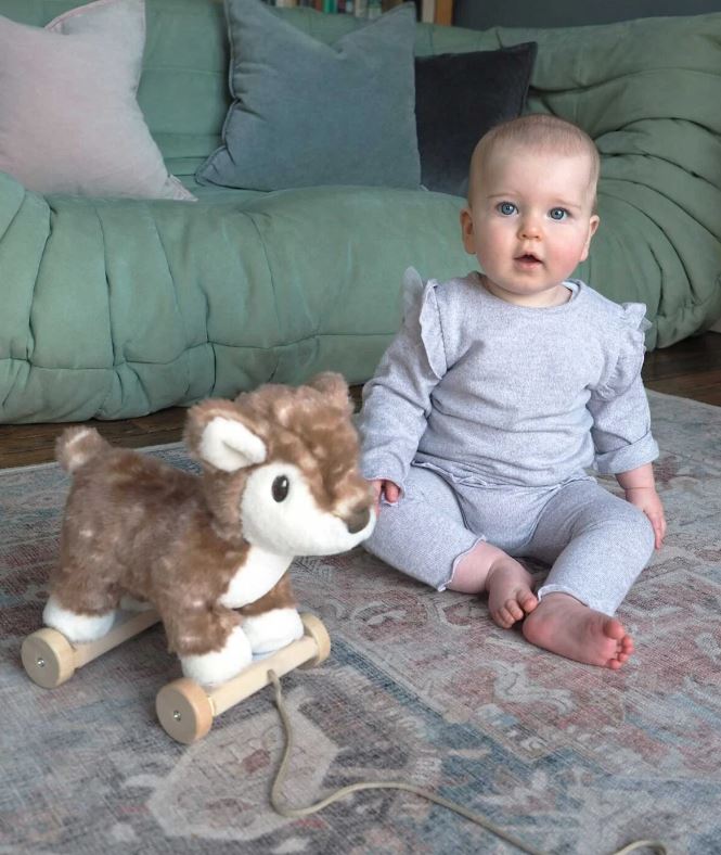 Trækdyr Willow Pull Along - Little Bird Told Me