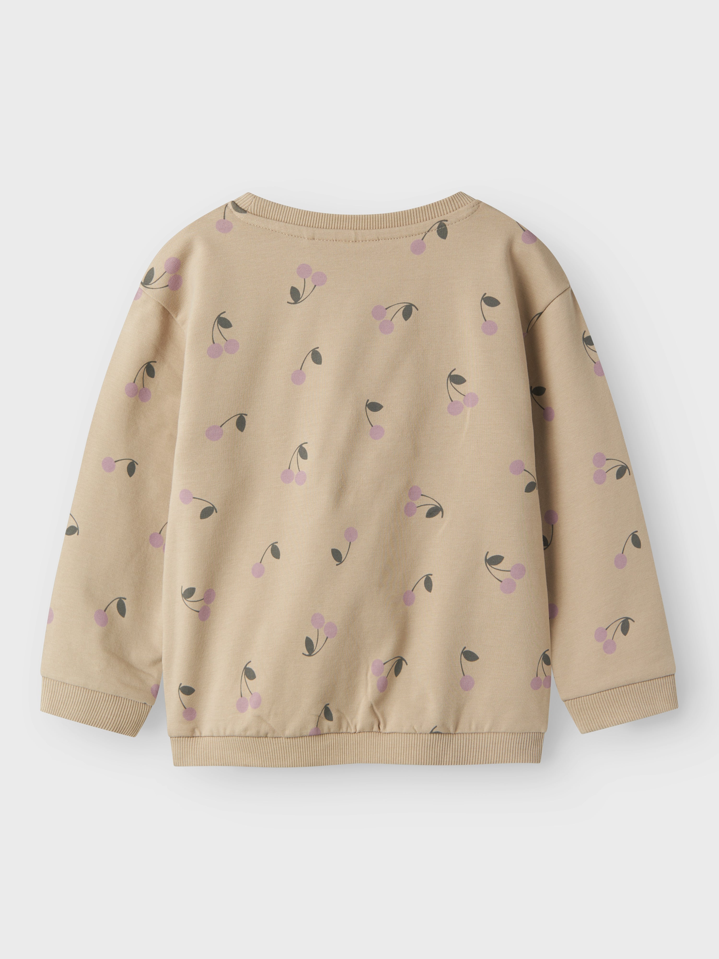 Name It Damma Gurli Gris Sweatshirt - Pure Cashmere