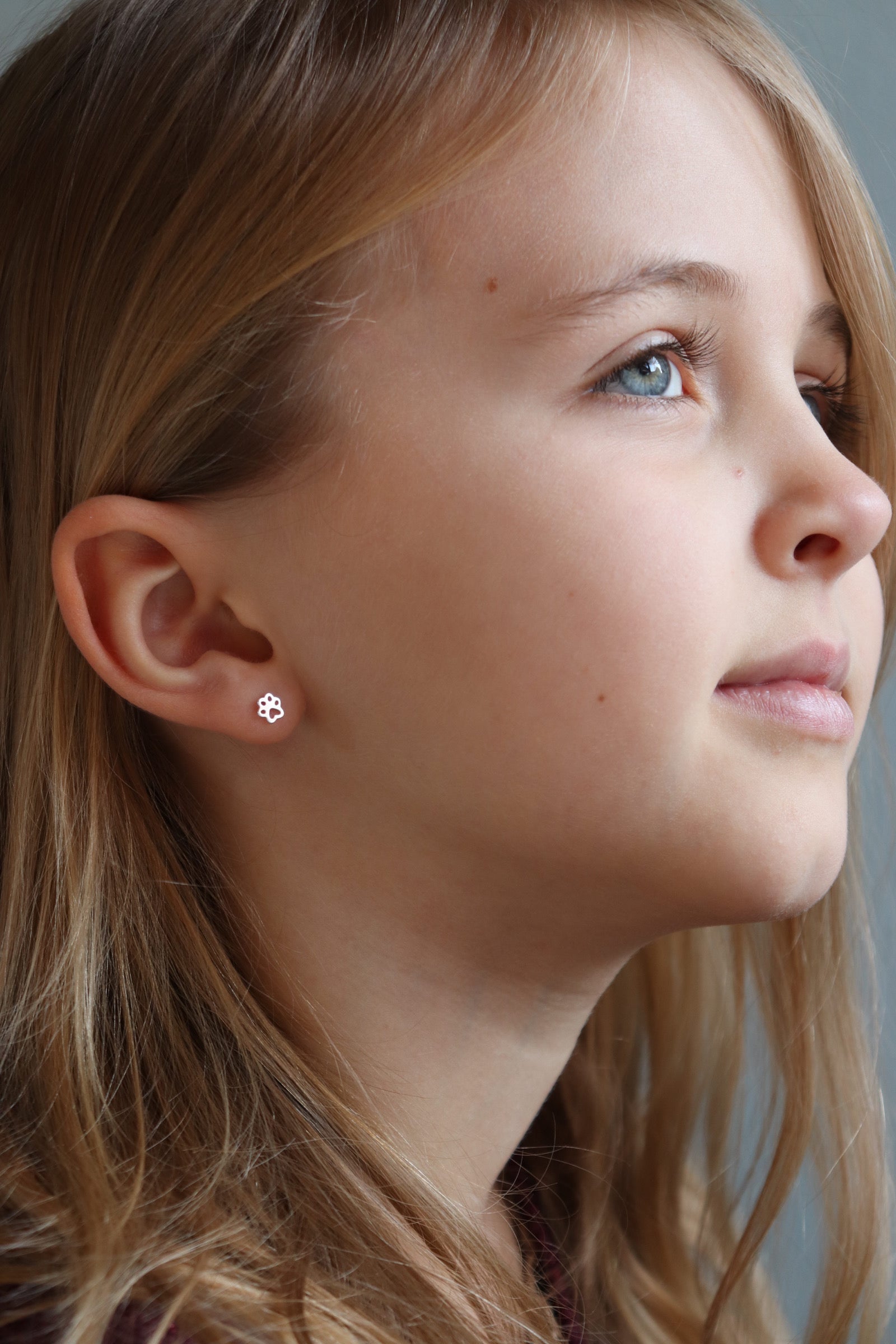 Hundepoter Ørestikker i Sølv