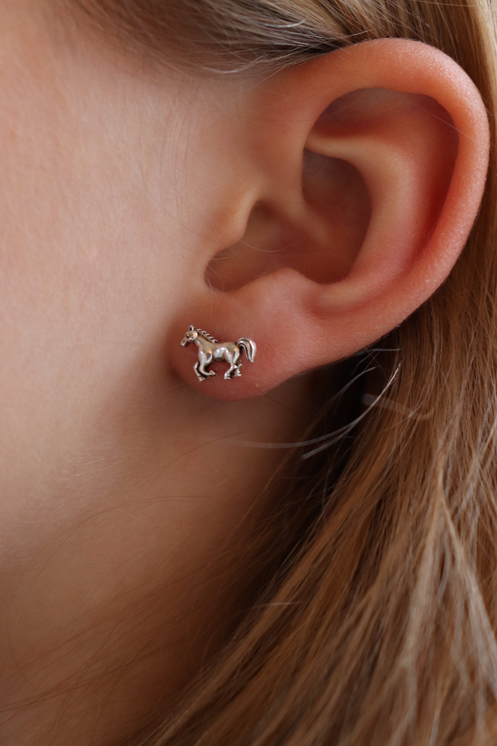 Heste Ørestikker i Sølv
