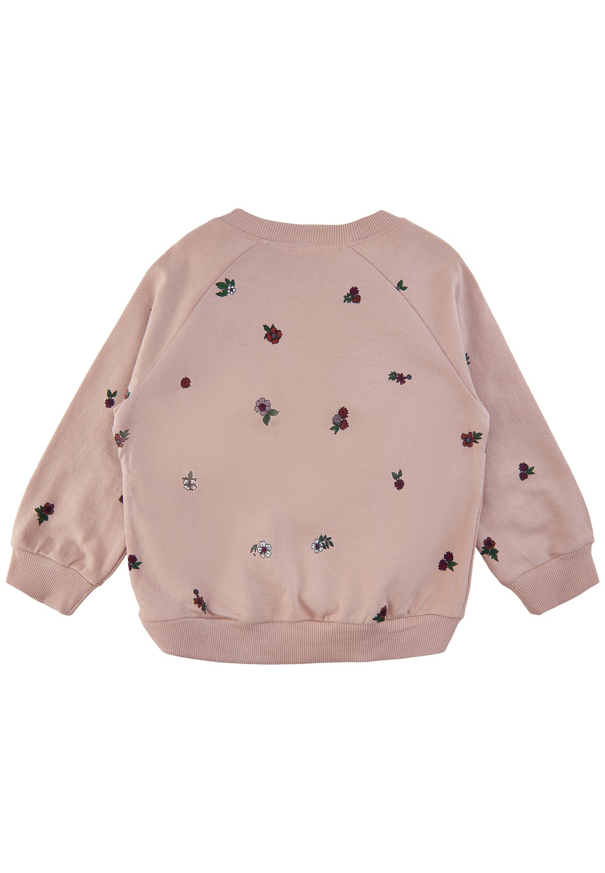 The New Siblings Sweatshirt Dovie - Rose