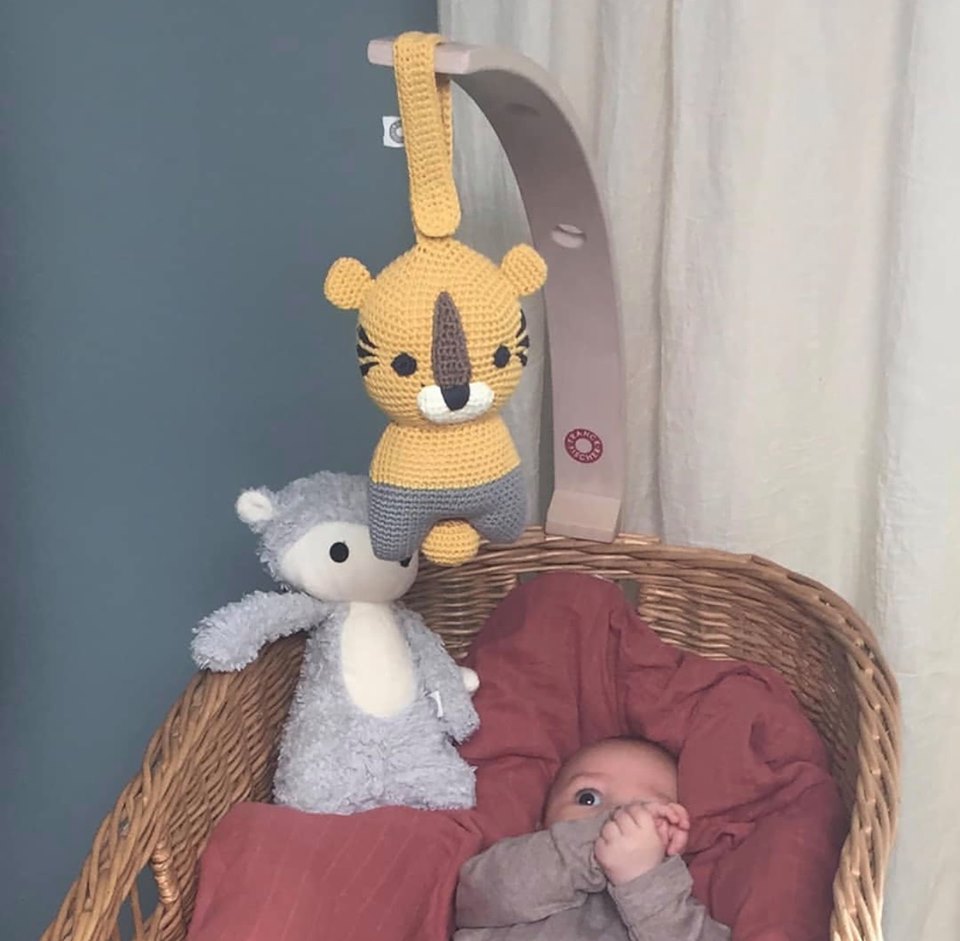 Mikkel ræv - grå - franck_fischer