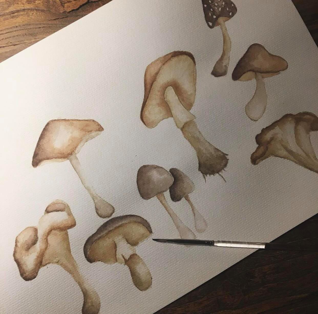 Lil Atelier Sengetøj Baby Peyote / Mushroom