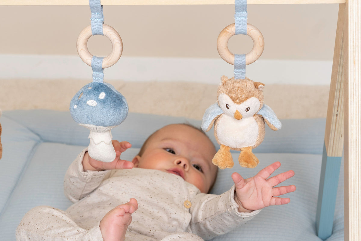 Little Dutch - Babygym - Forest Friends