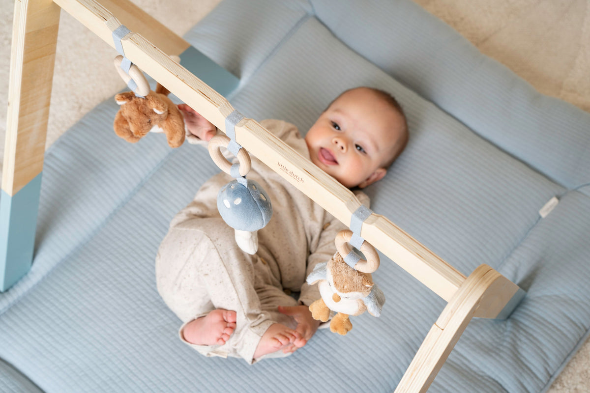 Little Dutch - Babygym - Forest Friends