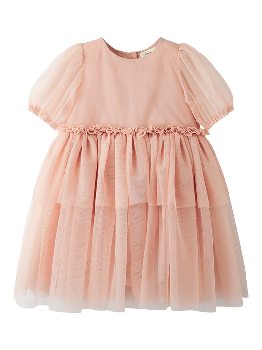 Lil Atelier Liberty SS Tulle Dress - Misty Rose