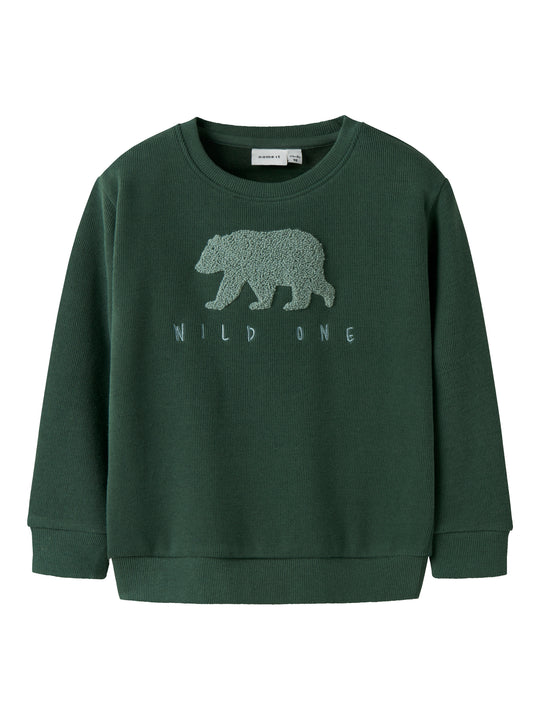 Name It Obear Sweat Shirt - Garden Topiary