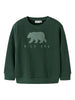 Name It Obear Sweat Shirt - Garden Topiary