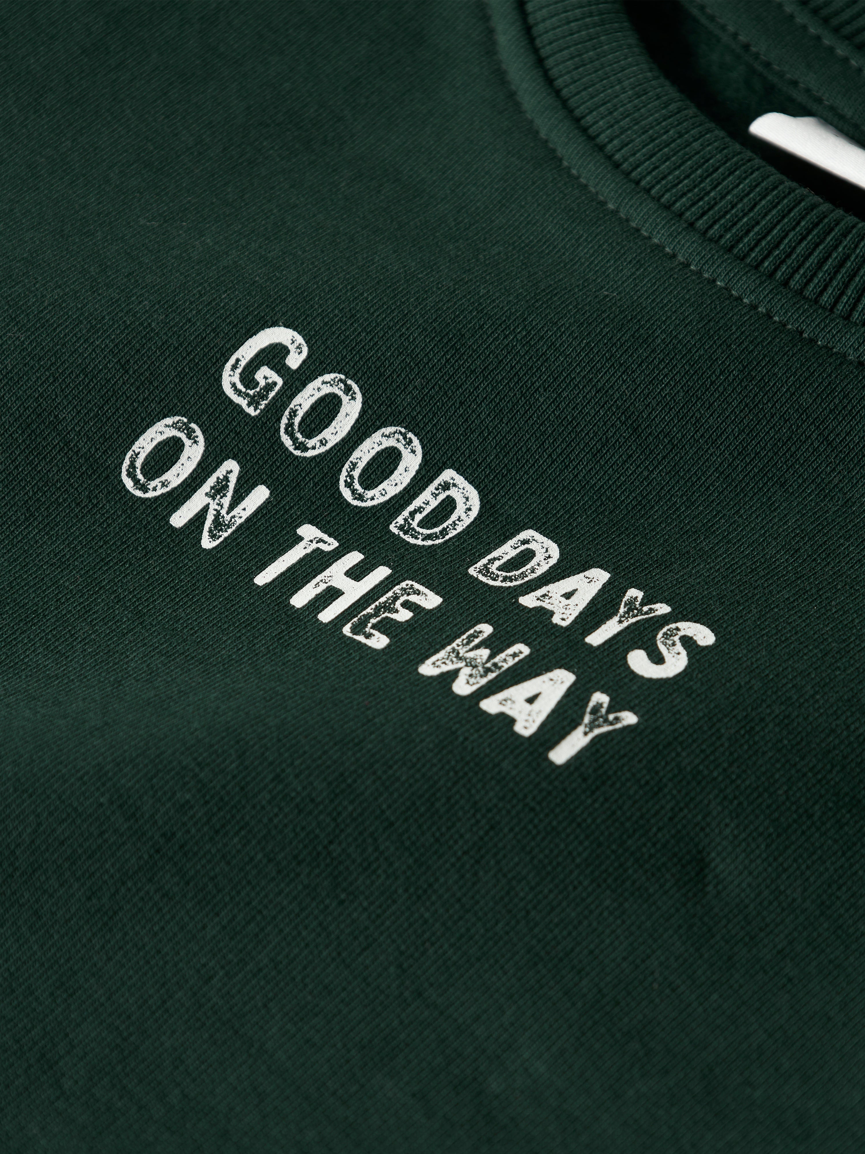 Name It Slade Sweat Shirt - Pine Grove