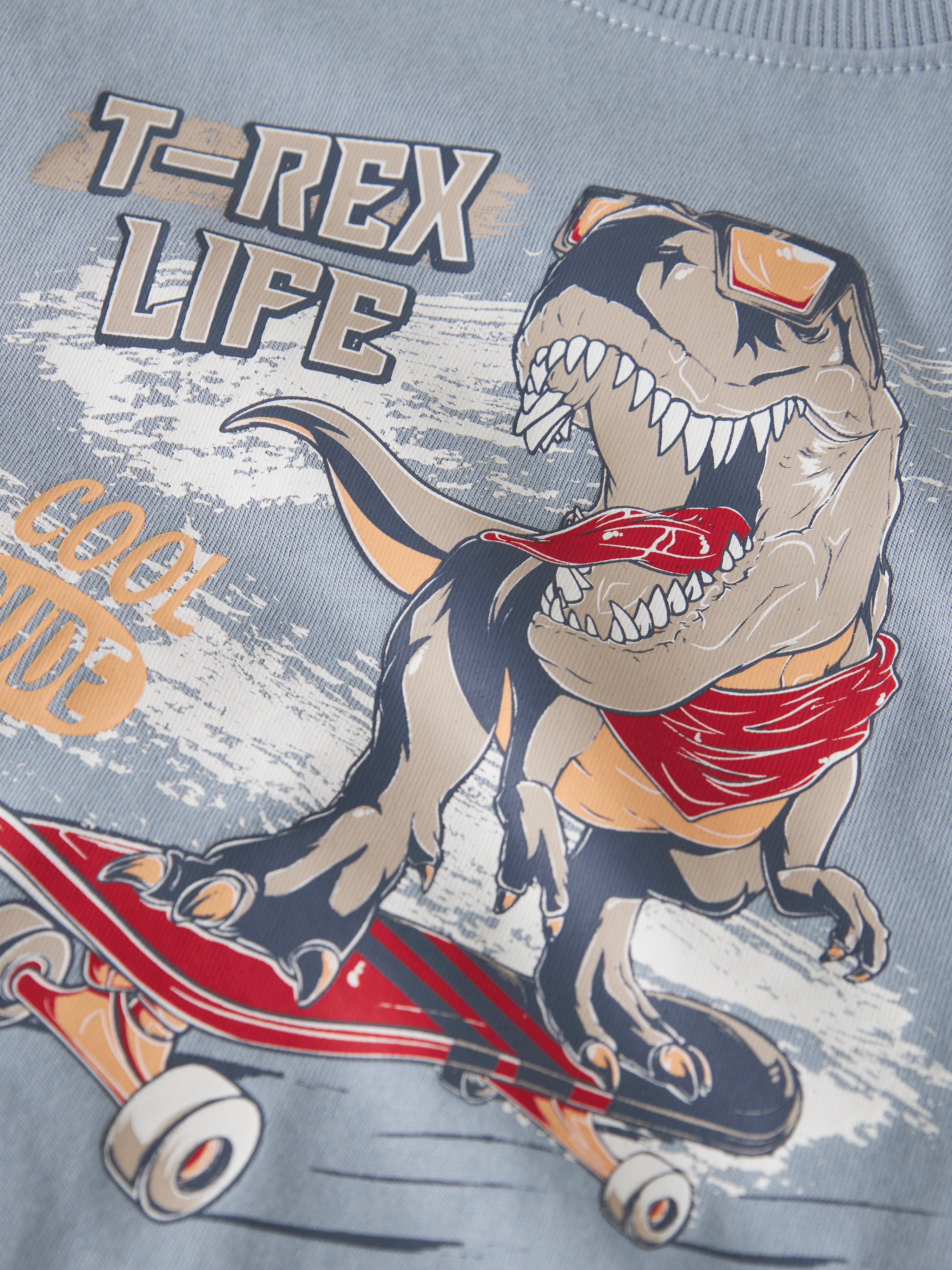Name It Vanyo - SS Top - Blue Fog Dino Skate