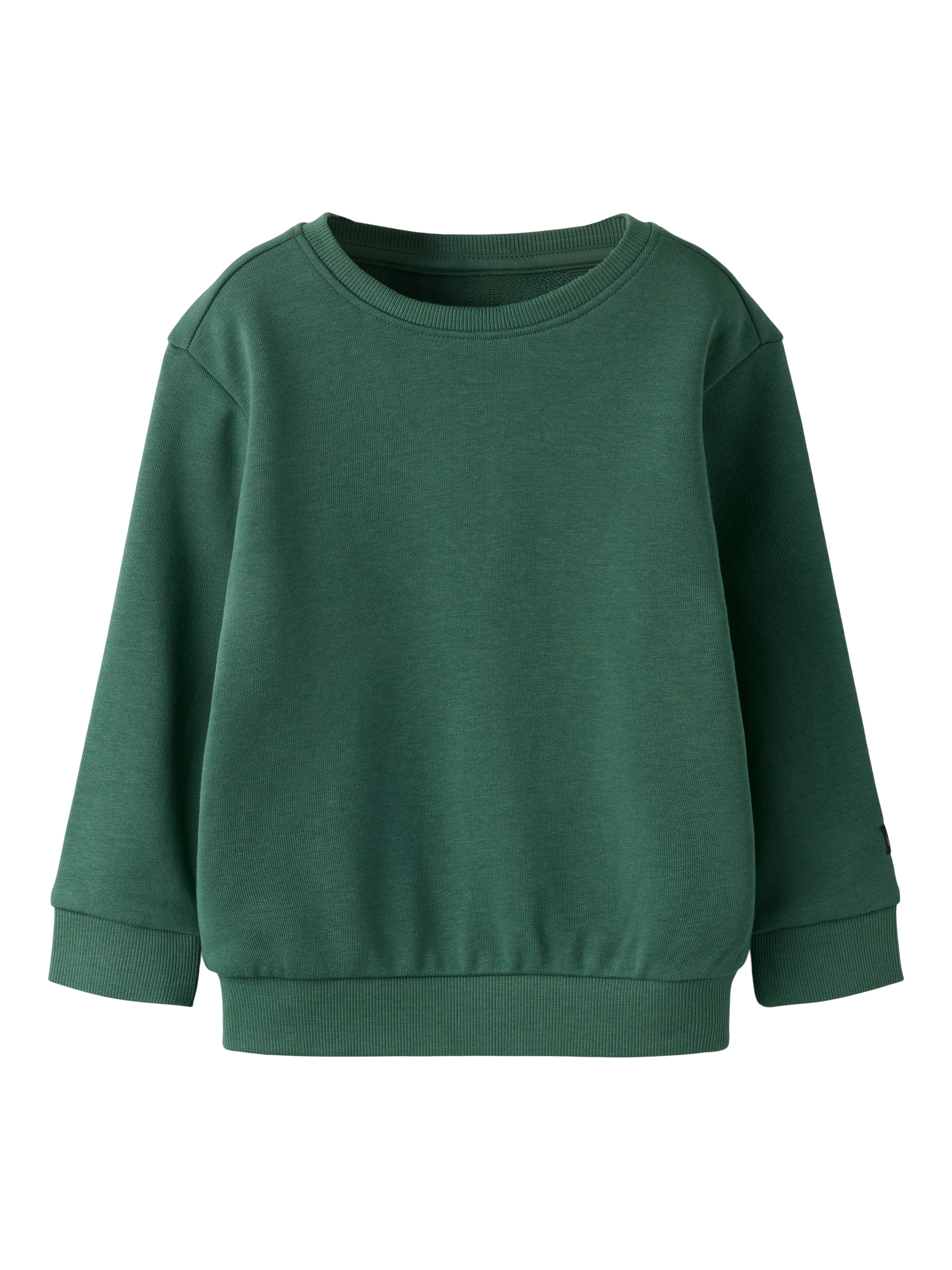 Name It Franco - LS Sweatshirt - Garden Topiary