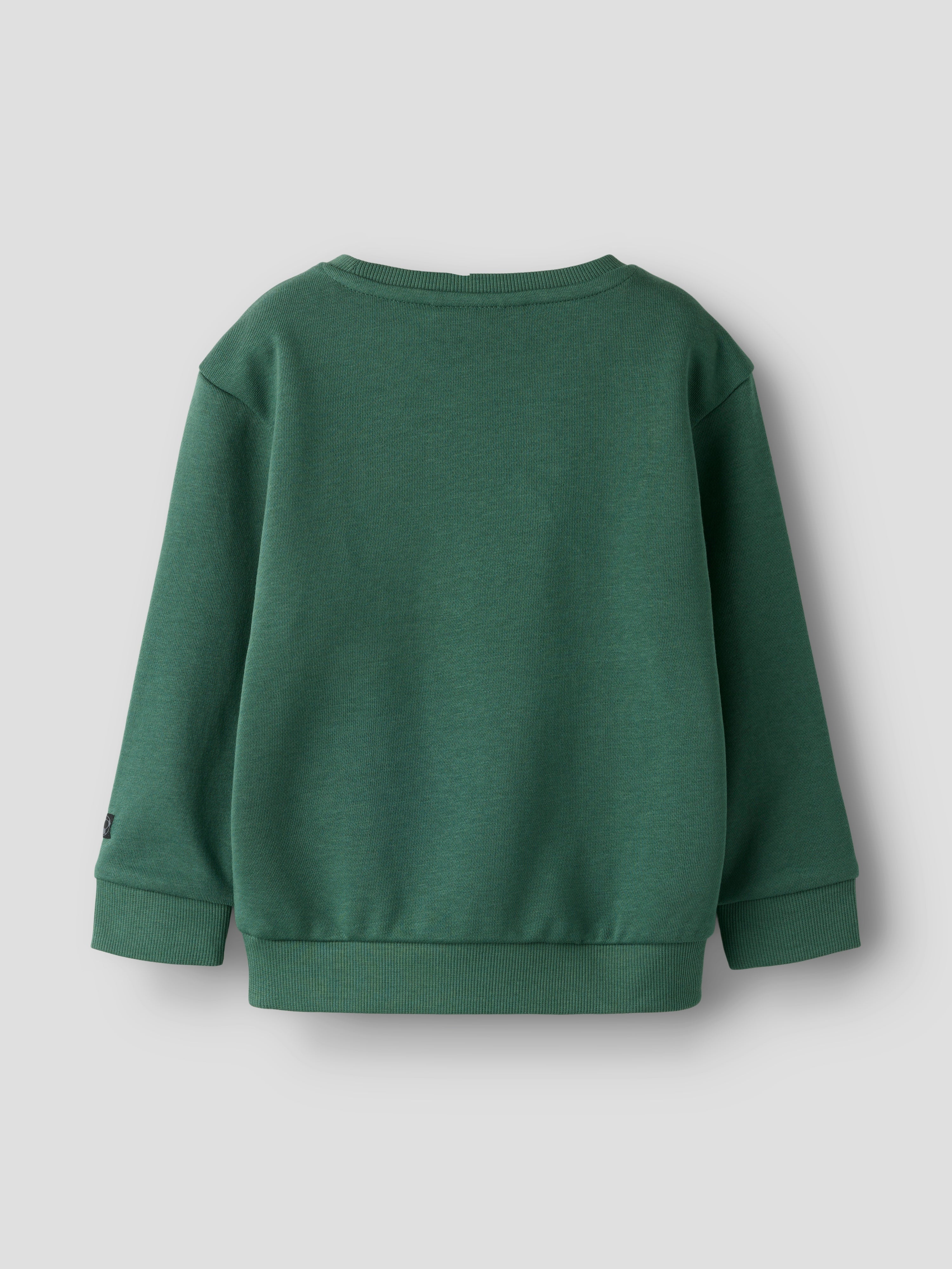 Name It Franco - LS Sweatshirt - Garden Topiary