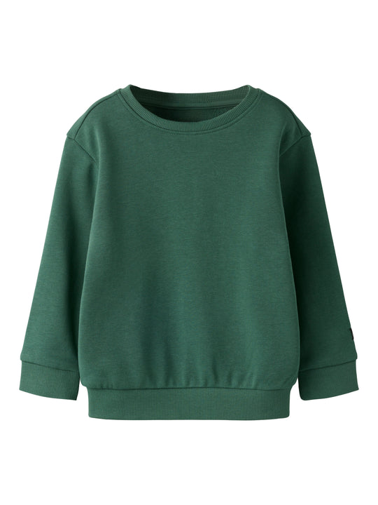 Name It Franco - LS Sweatshirt - Garden Topiary