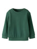 Name It Franco - LS Sweatshirt - Garden Topiary
