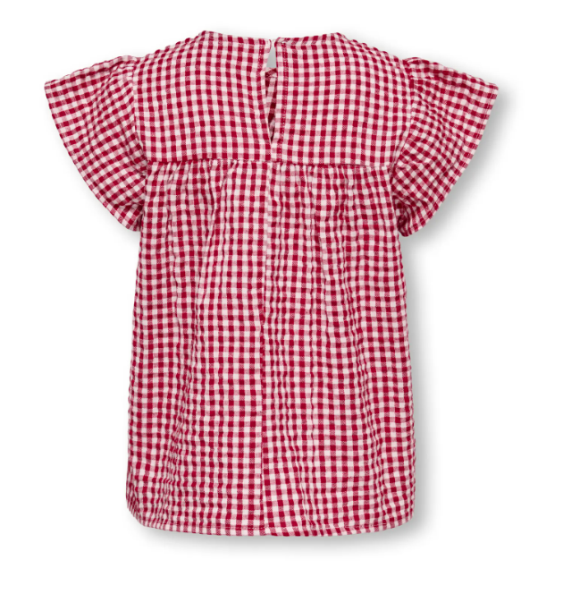 Only Mini Fina Cerise SS Top - Barbados Cherry Check