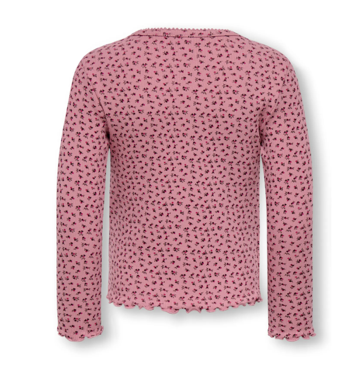 Only Mini Trinny - LS Top - Foxglove AW Disty Flower