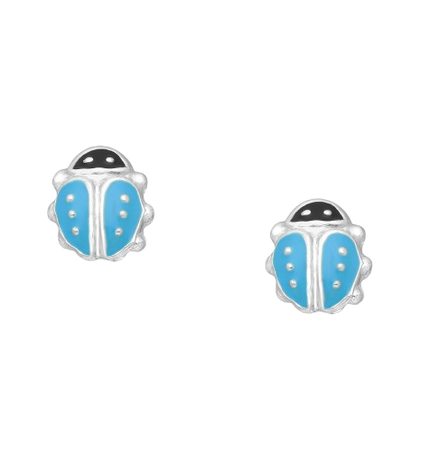 Ørestikker Mariehøne - Blå