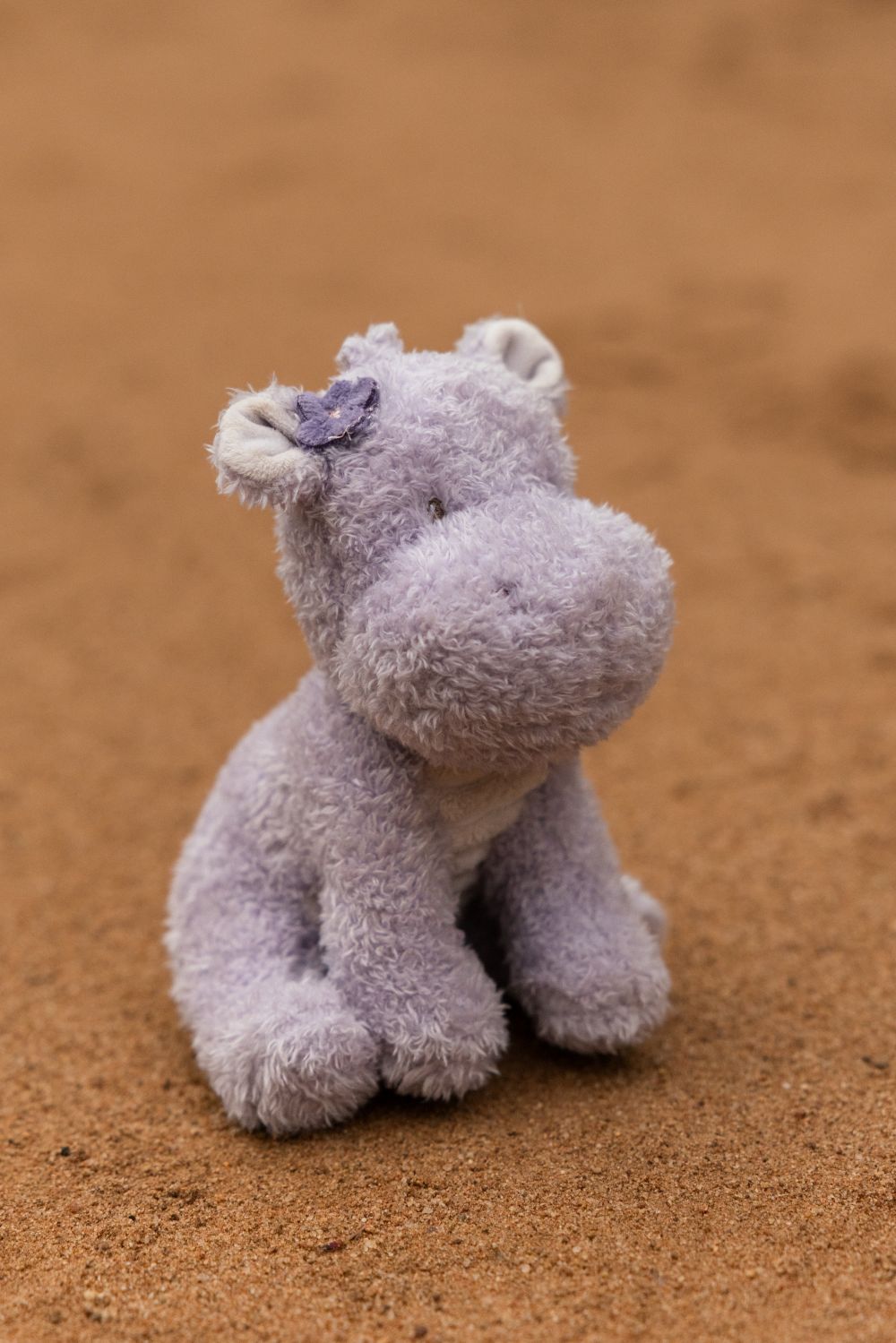 Little Dutch - Krammedyr Flodhest - Safari Friends