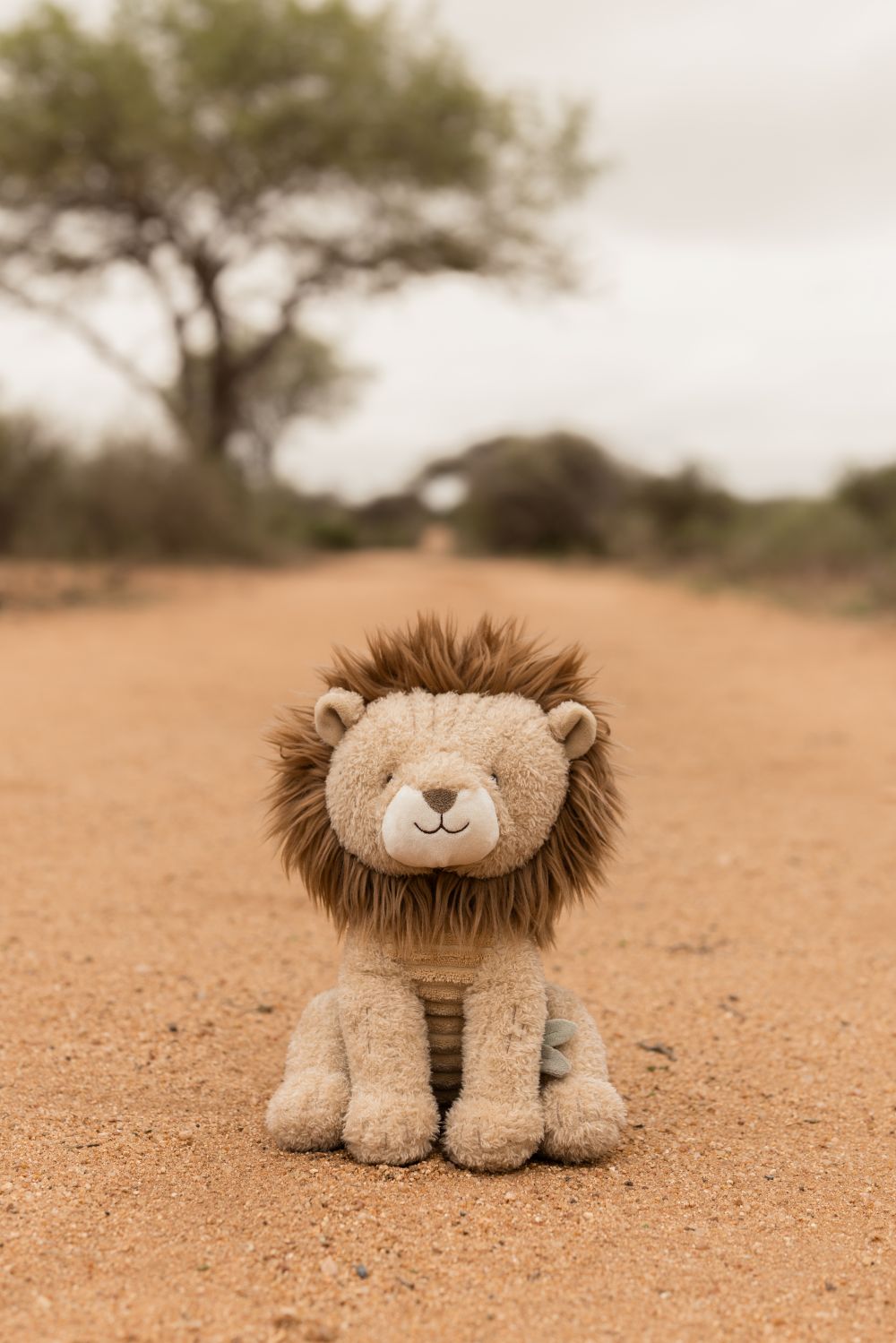 Little Dutch - Krammedyr Løve - Safari Friends