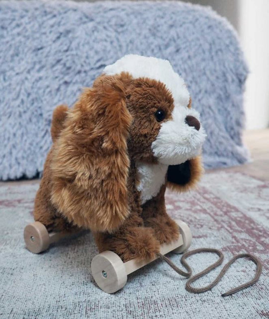 Trækdyr Peanut Pull Along - Little Bird Told Me