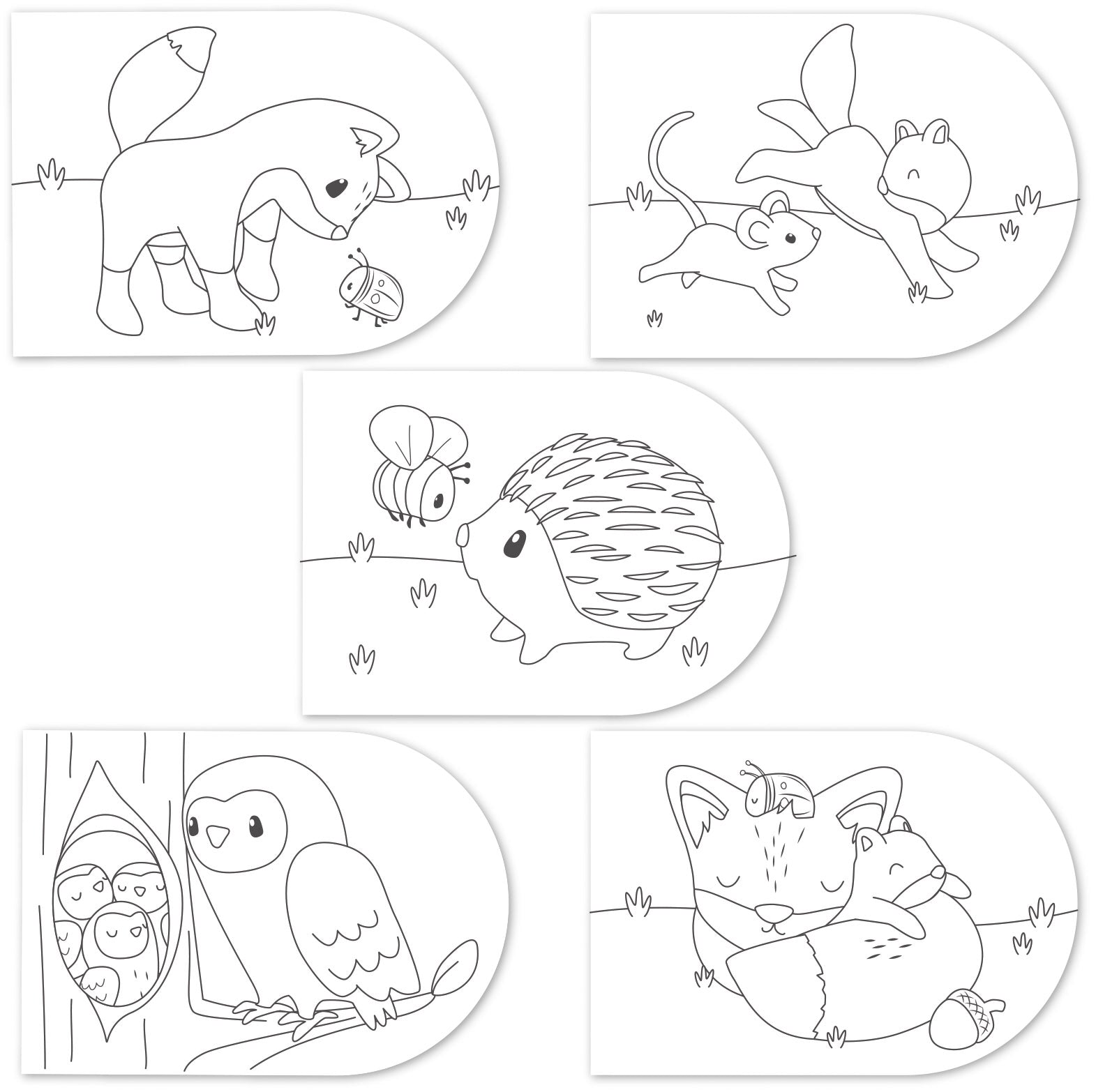 Little Dutch Vandfarve malebog - Forest Friends